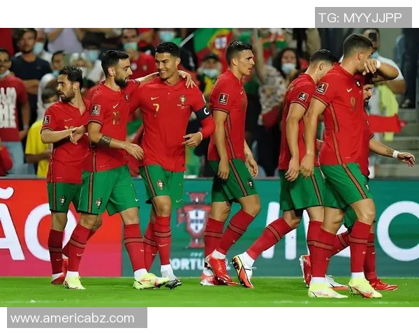 欧洲杯：斯洛文尼亚队黯然告别欧洲杯